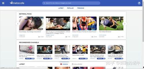 视频 分享 网站,打造你的在线视听盛宴