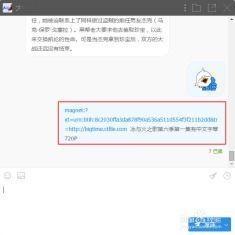 莲实无码迅雷磁力链接,独家磁力链接带你领略极致诱惑